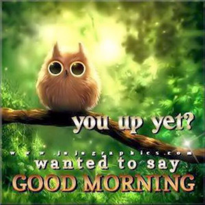 good morning quotes 12 you up yet wanted to say good morning