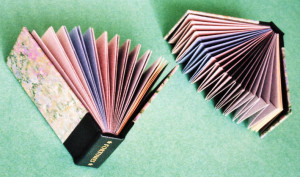 Books The Fortune Tellers Excerpts