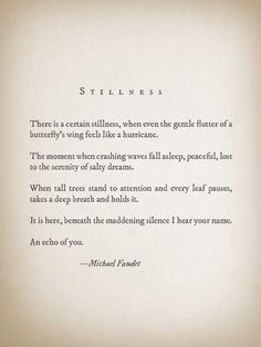 Stillness by Michael Faudet More