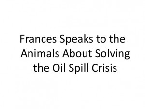 Oil Spill Animal Quotes
