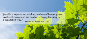 Administration and supervision of the school system in iran