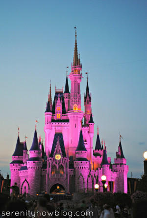 Magic Kingdom Castle at Sunset, Serenity Now blog