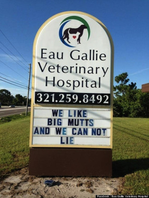 To Brighten Up Your Monday: Funny Signs Put Up By An Animal Hospital