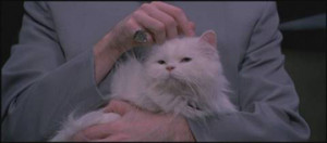 Dr Evil Cat Dr. evil's cat is named: