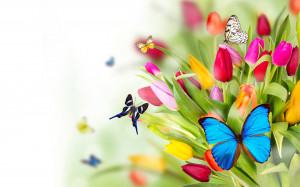 Spring Flowers Butterflies