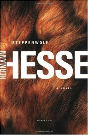 Bestseller Books Online Steppenwolf: A Novel Hermann Hesse $10.2