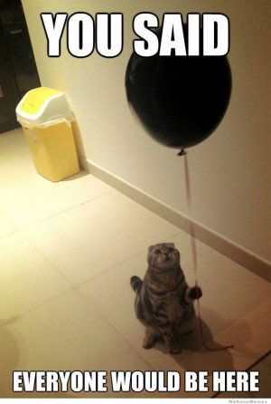 Sad Birthday Cat – You said everyone would be here