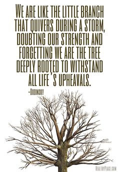 Positive quote: We are like the little branch that quivers during a ...