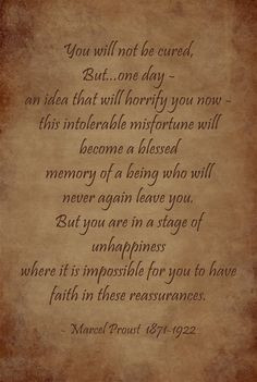 Marcel Proust...when you search and search for a cure without ...