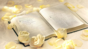 bible and roses 1366x768 pixel 212 kb jpg