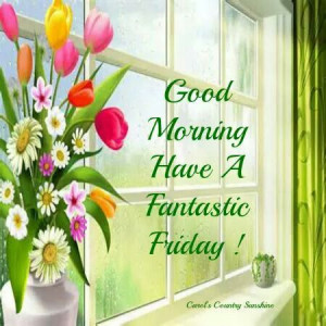 Good Morning have a fantastic Friday...