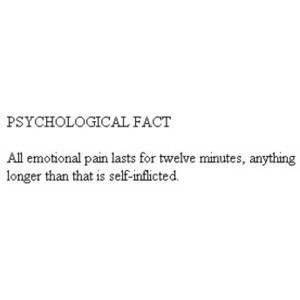 All emotional pain lasts for twelve minutes, anything longer than that ...