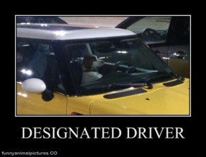 designated driver