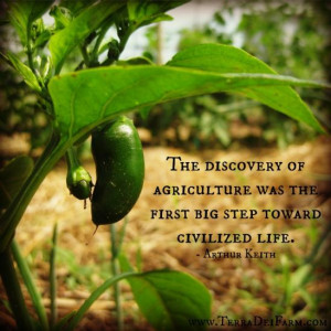 Terra Dei Farm - A Life of Stewardship