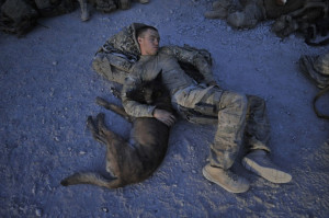 Military Dogs Around the World