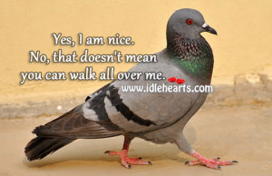 Yes, I Am Nice. No, That Doesn’t Mean You Can Walk All Over Me.