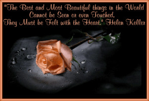 ... image include: flowers, helen keller, inspirational, quotes and rose