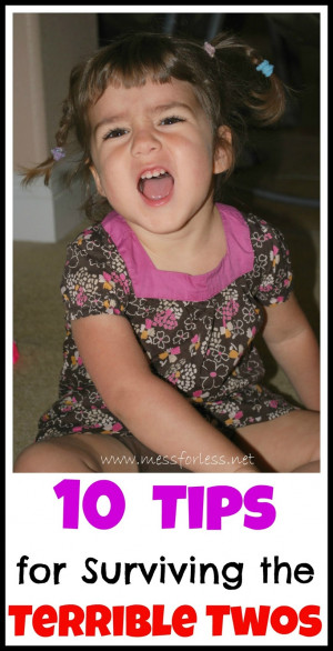 10 Tips for Surviving the Terrible Twos - Advice to get through this ...