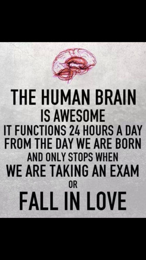 Funny quote about the brain, love, and test taking