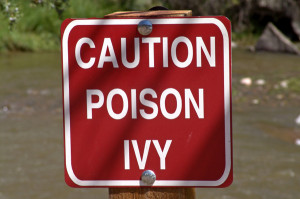 ... Learn how to ditch the itch with the best poison ivy remedies around