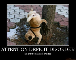 attention-deficit-disorder-dog-fun-pee-demotivational-poster ...