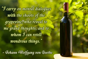 quote by Johann Wolfgang von Goethe