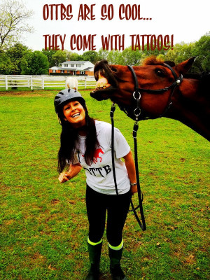 ... for Horses . . . Off The Track Thoroughbred OTTB qoutes from my sister