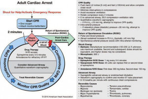 Adult Cardiac Arrest CPR Procedure