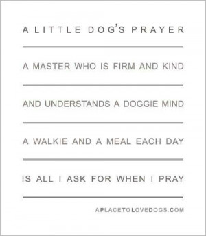 Dog's prayer