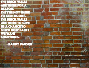 The brick walls are there for a reason. They're not there to keep us ...