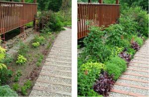 details Request a Quote