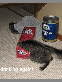 guess I do cocaine now!