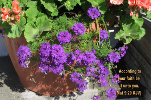 ... Wallpapers in Flowers, Inspirational Quotes, Inspirational Backgrounds