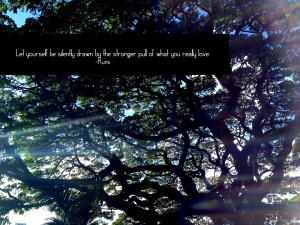 Rumi Quotes Rumi Quote Love