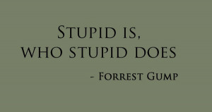 forrest, forrest gump, gump, quote, stupid