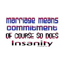 marriage_means_rectangle_magnet.jpg?height=250&width=250&padToSquare ...