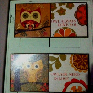 ... always love you and owl you need is love... Love these pics & quotes