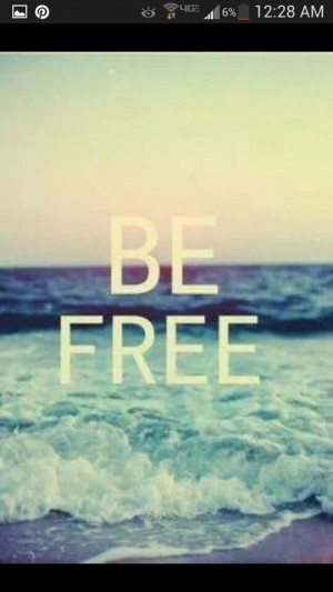 As free as a bird!