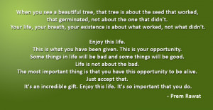 When you see a beautiful tree, that tree is about the seed that worked ...