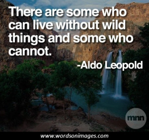 Aldo leopold quotes