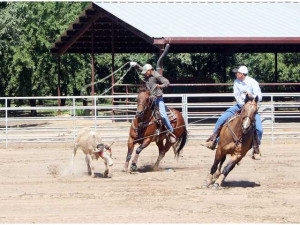 Rodeo Calf Roping