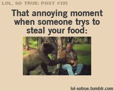click) When someone tries to steal your food More