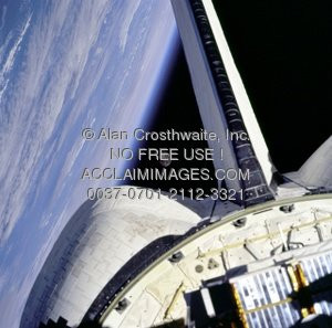 Free Download Daisy Royalty