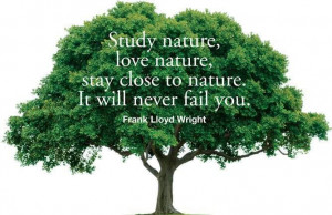 inspirational #nature #quotes #tentree #love