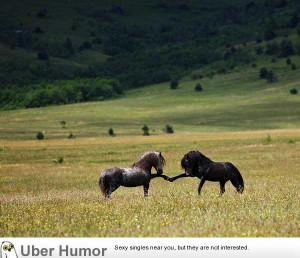 Add new comment: Cancel reply