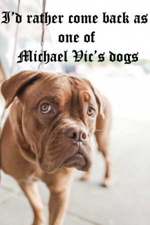 Inspirational Quotes From Ari Gold