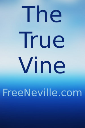 Neville Goddard Quote and Lesson: Constantly Observing