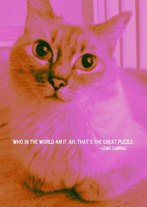Cheshire Cat Quote Photograph