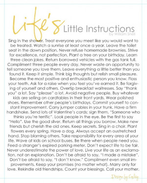 life's little instructions