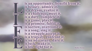 mother teresa life wallpaper